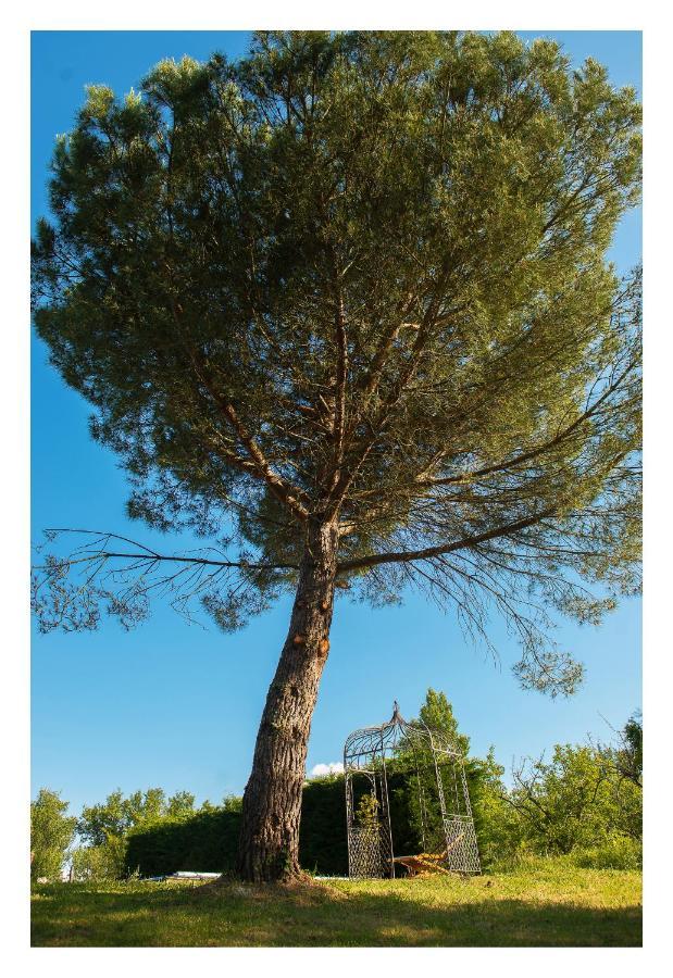 Chambre Soignee Et Accueillante A La Campagne - Ch Bleue L'Honor-de-Cos Exterior photo